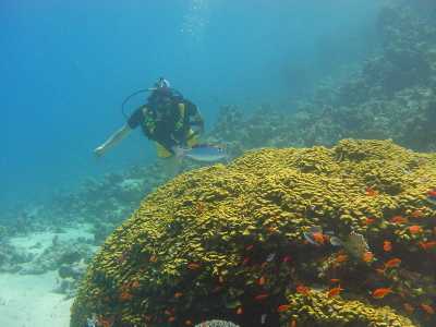 red sea_076.jpg